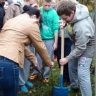 Święto Drzewa
